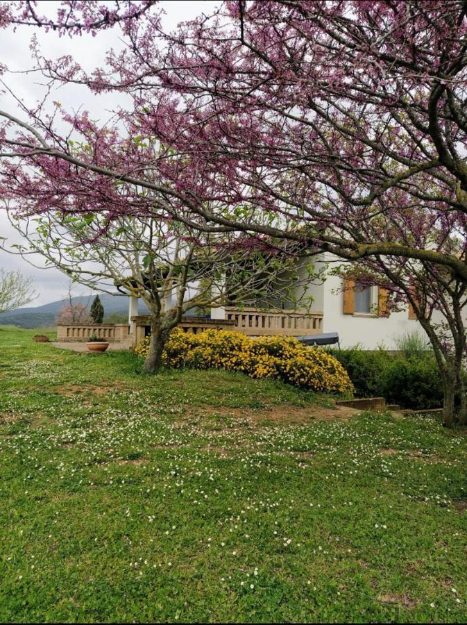 Casale Artemisia Capalbio Acomodação com café da manhã Exterior foto